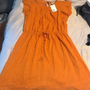 H&M Burnt Orange Dress